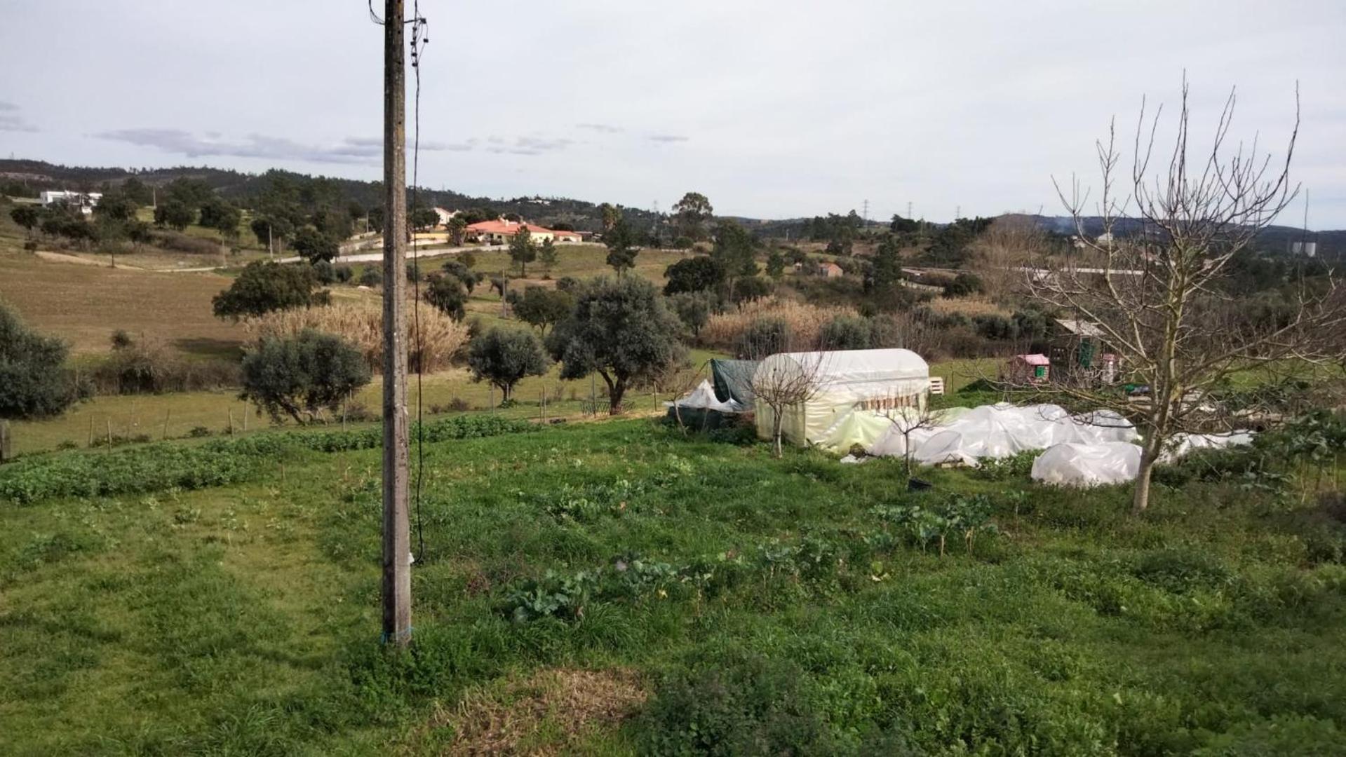 Caravana Em Quinta Lameiras * Tomar